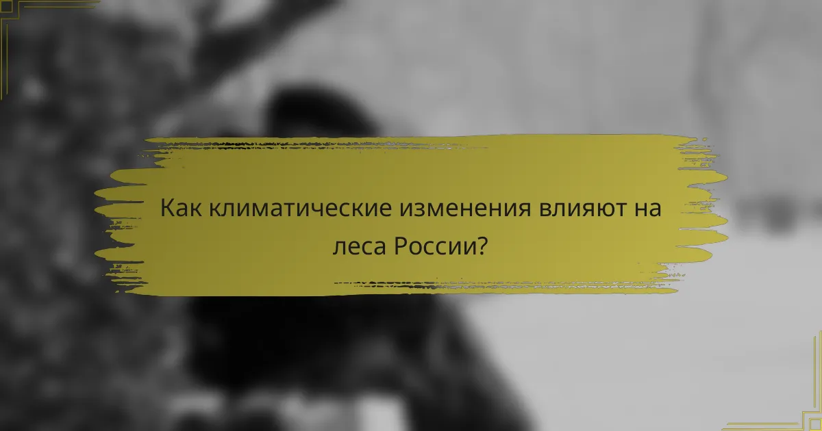 Как климатические изменения влияют на леса России?