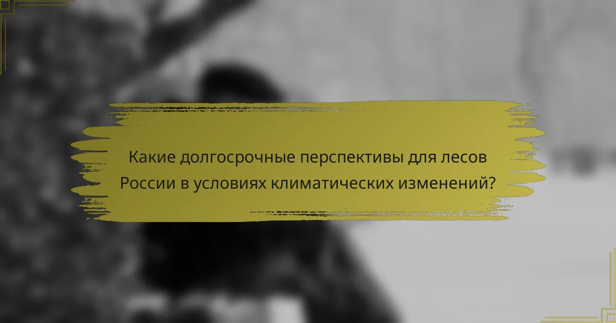 Какие долгосрочные перспективы для лесов России в условиях климатических изменений?