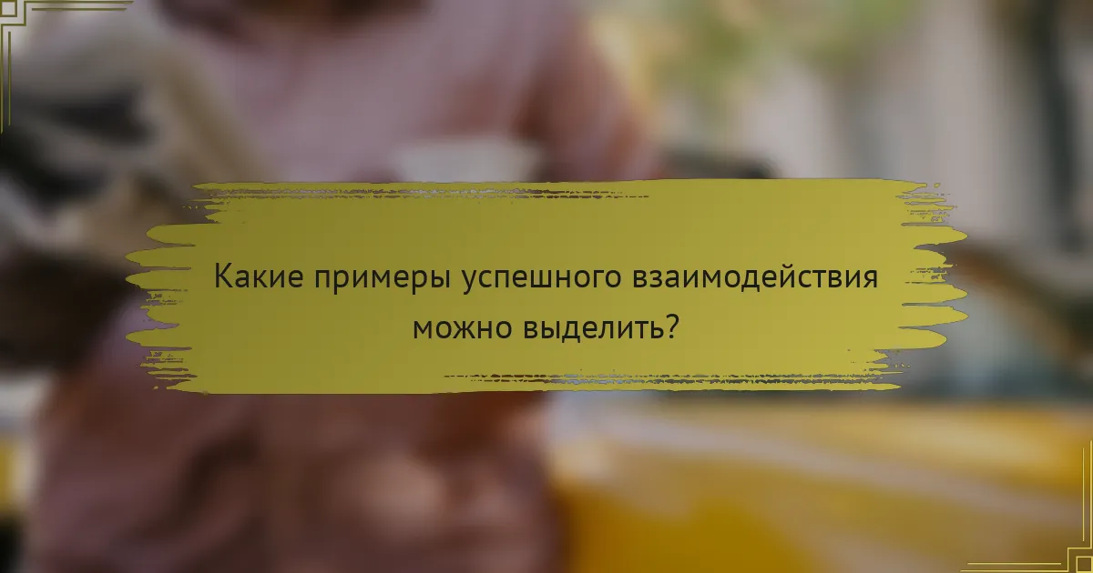 Какие примеры успешного взаимодействия можно выделить?