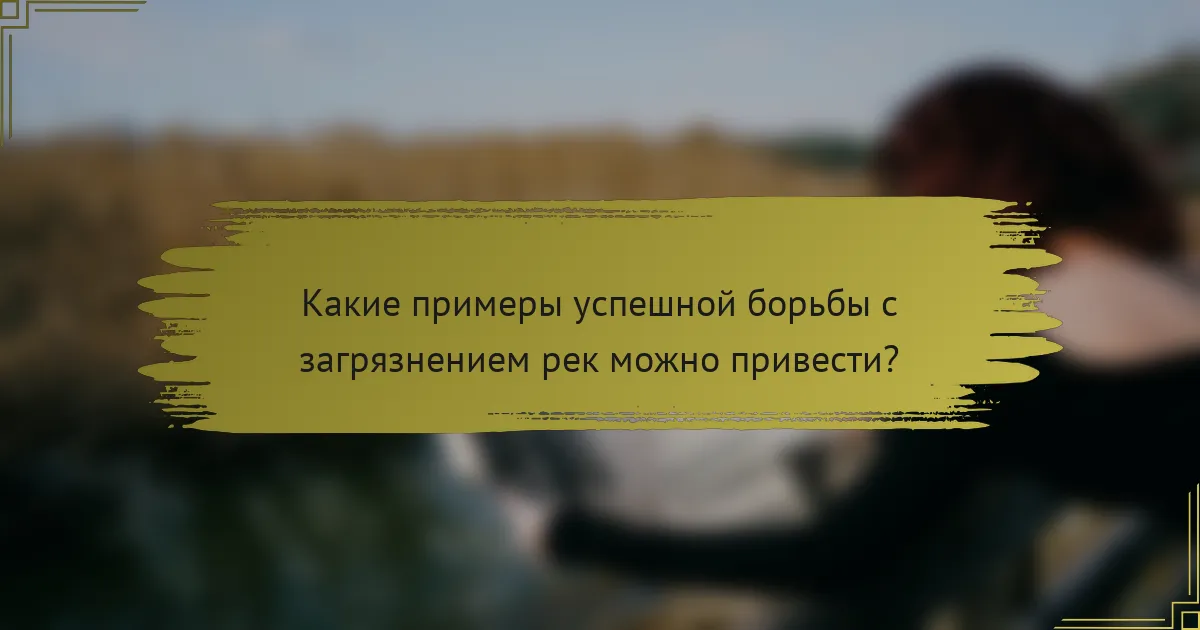Какие примеры успешной борьбы с загрязнением рек можно привести?