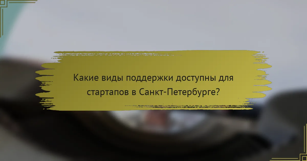 Какие виды поддержки доступны для стартапов в Санкт-Петербурге?