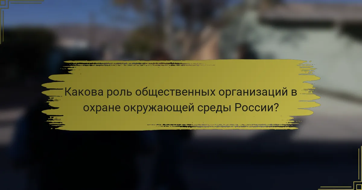 Какова роль общественных организаций в охране окружающей среды России?