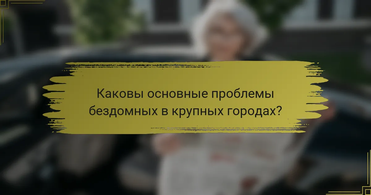 Каковы основные проблемы бездомных в крупных городах?