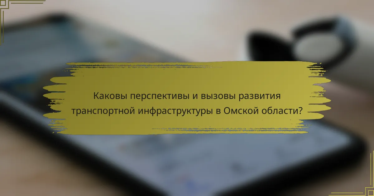 Каковы перспективы и вызовы развития транспортной инфраструктуры в Омской области?